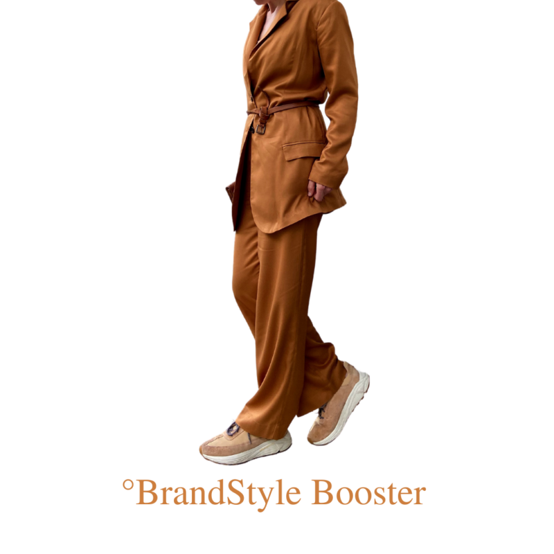BrandStyle Booster Businesslook (1:1 Online  + digital)